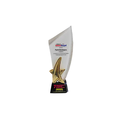 Award 4